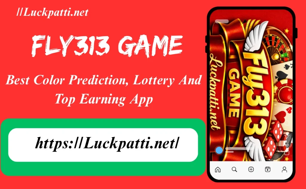 Fly313 Game Interface 