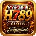 H789 Game