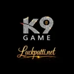 K9 Game