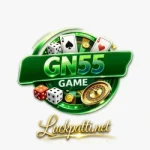 GN55 Game